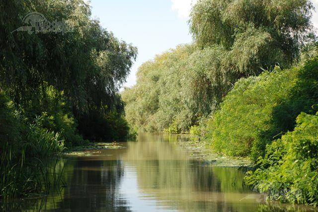 Delta Dunarii - deltadunarii.jpg